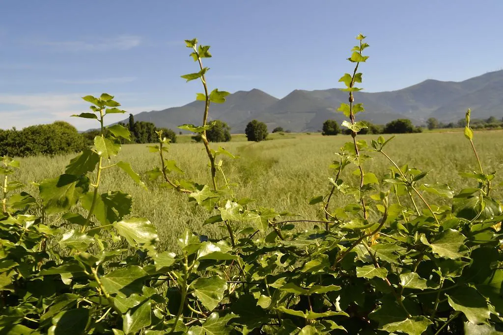 B&B Glicine E Luna Cascina